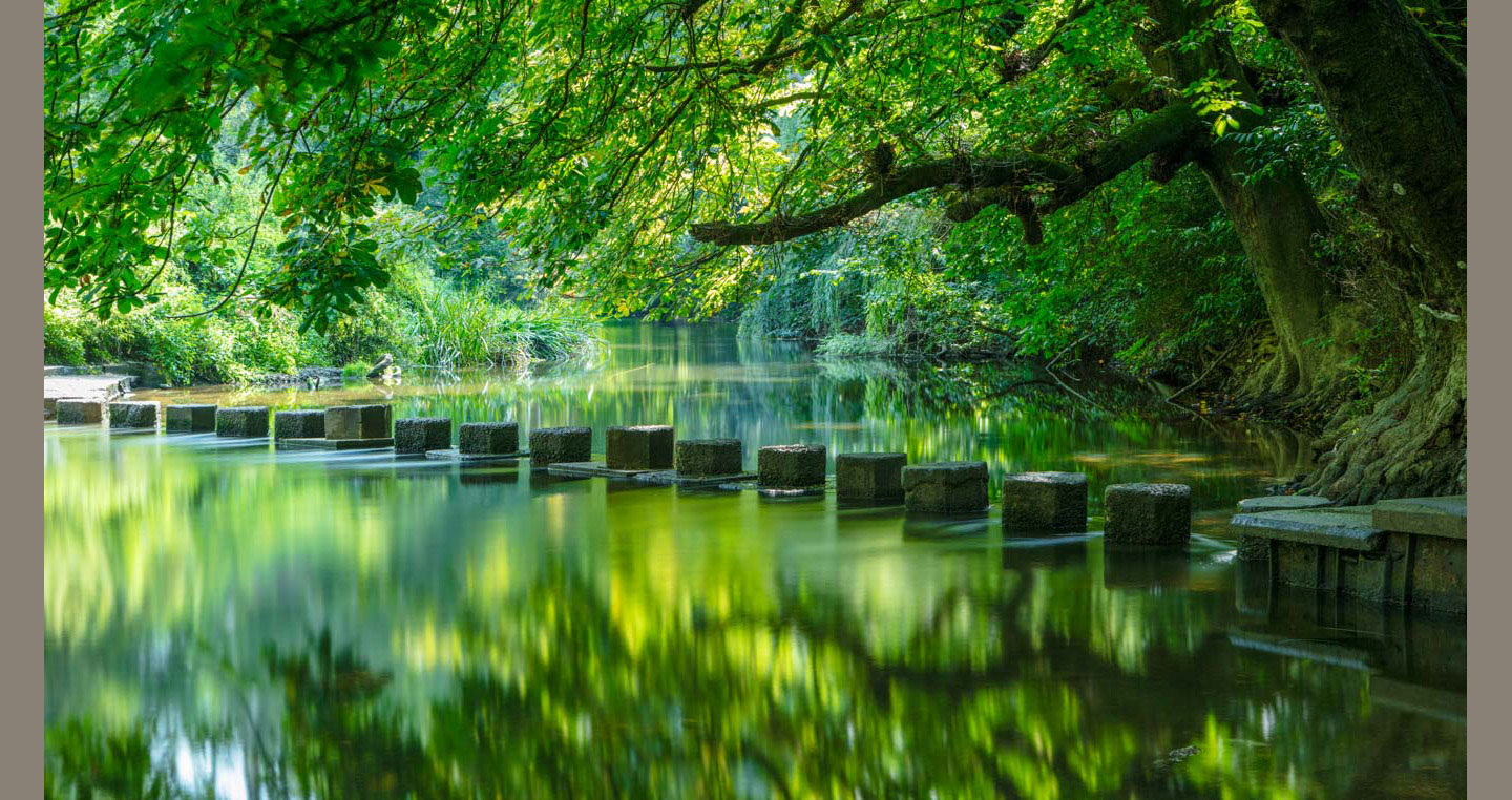 Landscape Photograph - summer greens reflect in the water at the stepping stones
